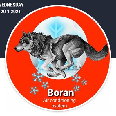 Boran wolf