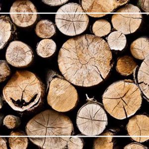 چوب و  کاربرد های اصلی آن در صنعت ساختمان
